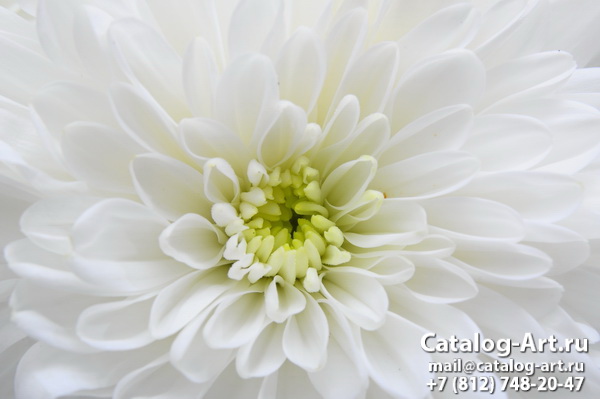 Натяжные потолки с фотопечатью - Белые цветы 35